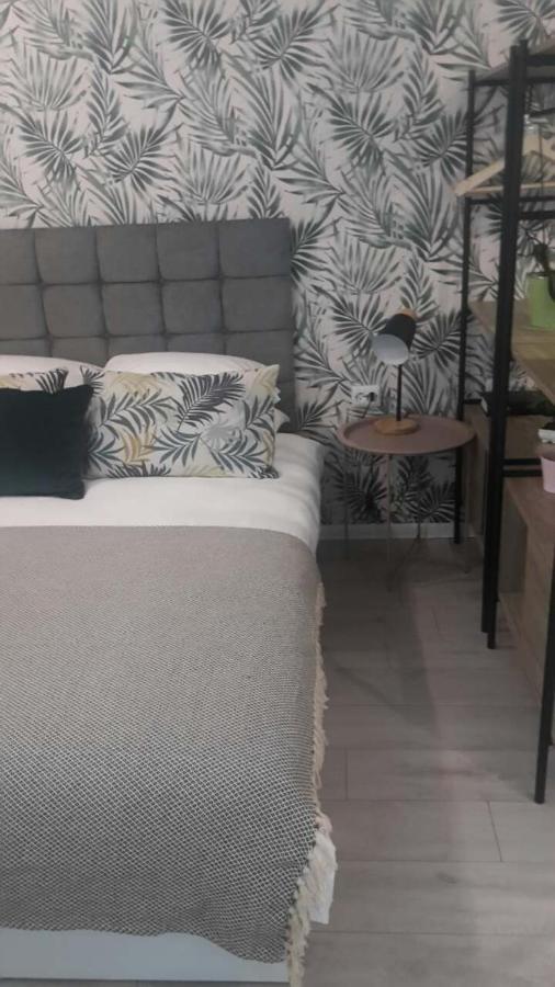 The Cozy Studio, Varna City Centre Bagian luar foto